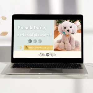 Wideokursy szydełkowania - premium